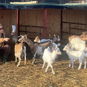  Villa Azienda Agricola I Casali Del Troscio Italia